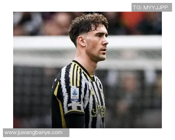 弗拉霍维奇：从天才前锋到足球巨星的成长之路与未来展望